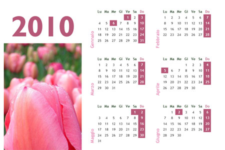 Calendario 2010 fiori
