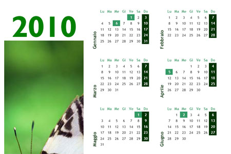 Calendario 2010 farfalla
