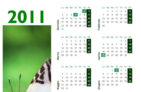 Calendario 2011 con foto