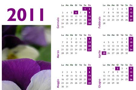 Calendario foto 2011