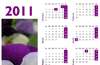 Calendario 2011 con foto