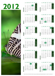 Calendario 2012 con foto di farfalla