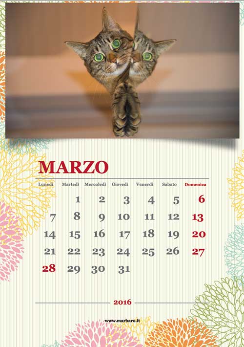 Calendari 2016 foto gatti