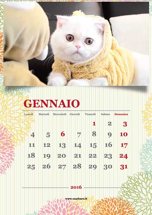 Calendari 2016 gatti