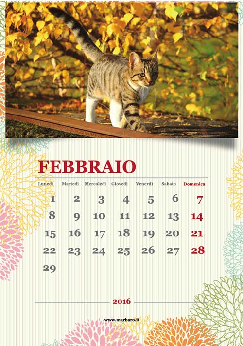 Calendari 2016 mensile con foto di gatti