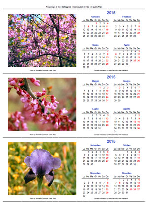 Calendari 2015 da tavolo
